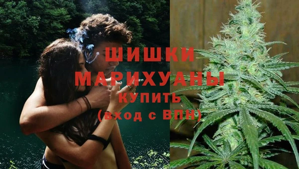 2c-b Заводоуковск