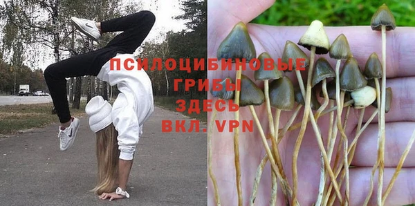 MDMA Premium VHQ Заволжье