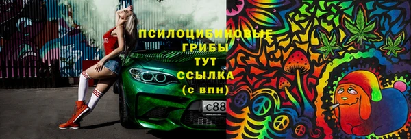 2c-b Заводоуковск