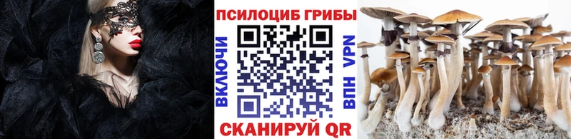 Галлюциногенные грибы Cubensis Саяногорск