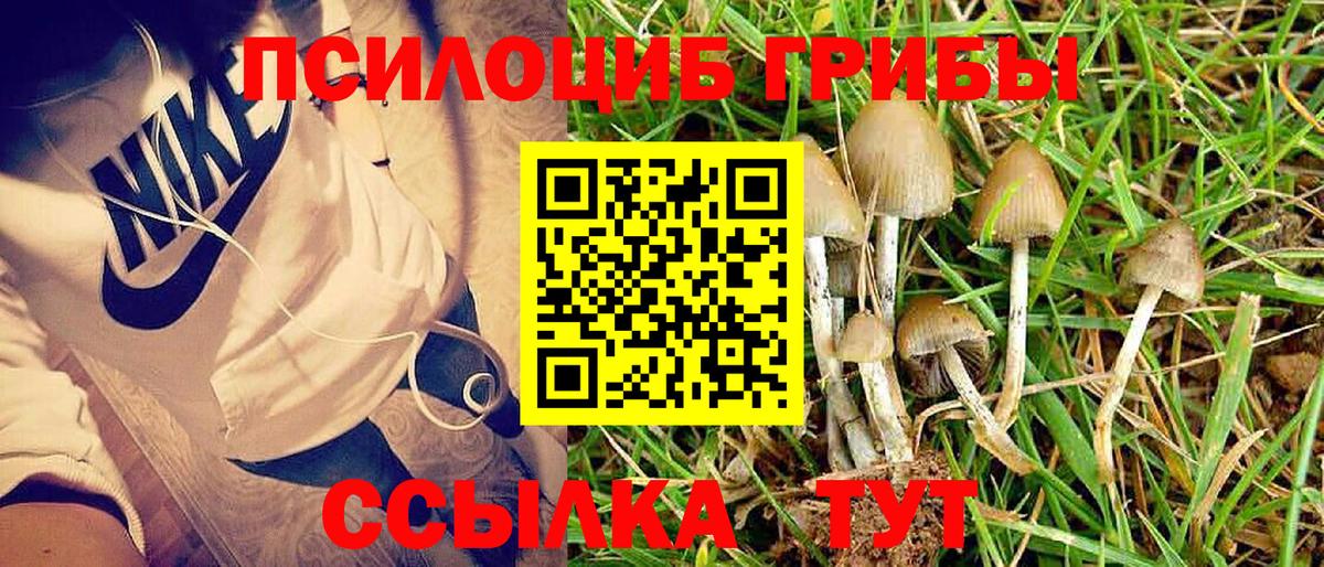 Галлюциногенные грибы мухоморы Саяногорск