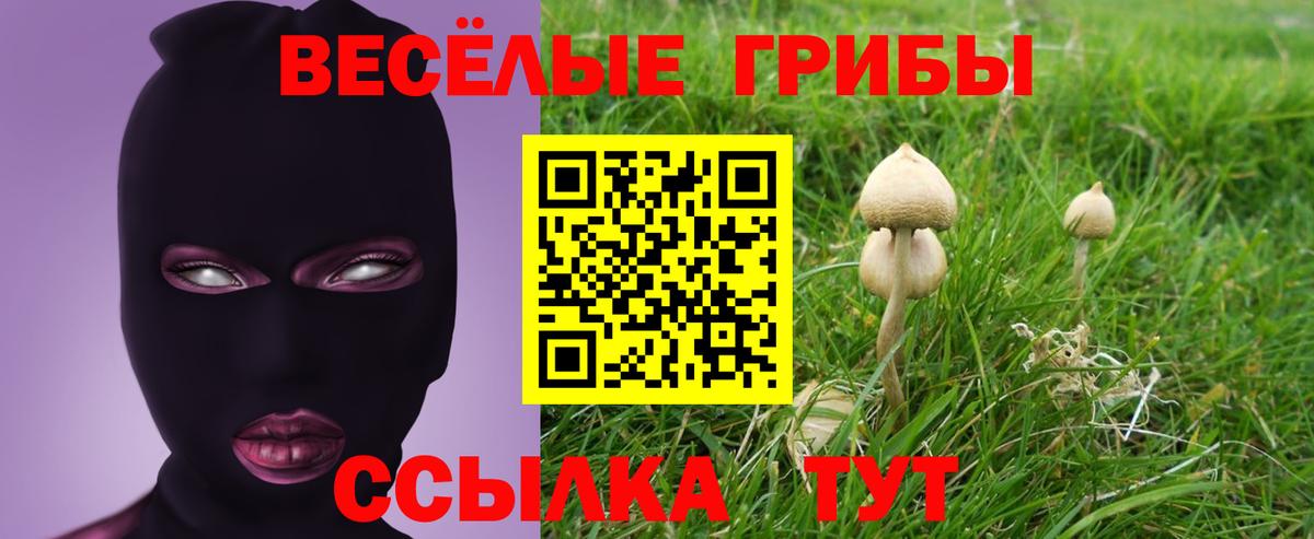 Саяногорск  Псилоцибиновые грибы прущие грибы  Галлюциногенные грибы Psilocybine cubensis  Вход с VPN 